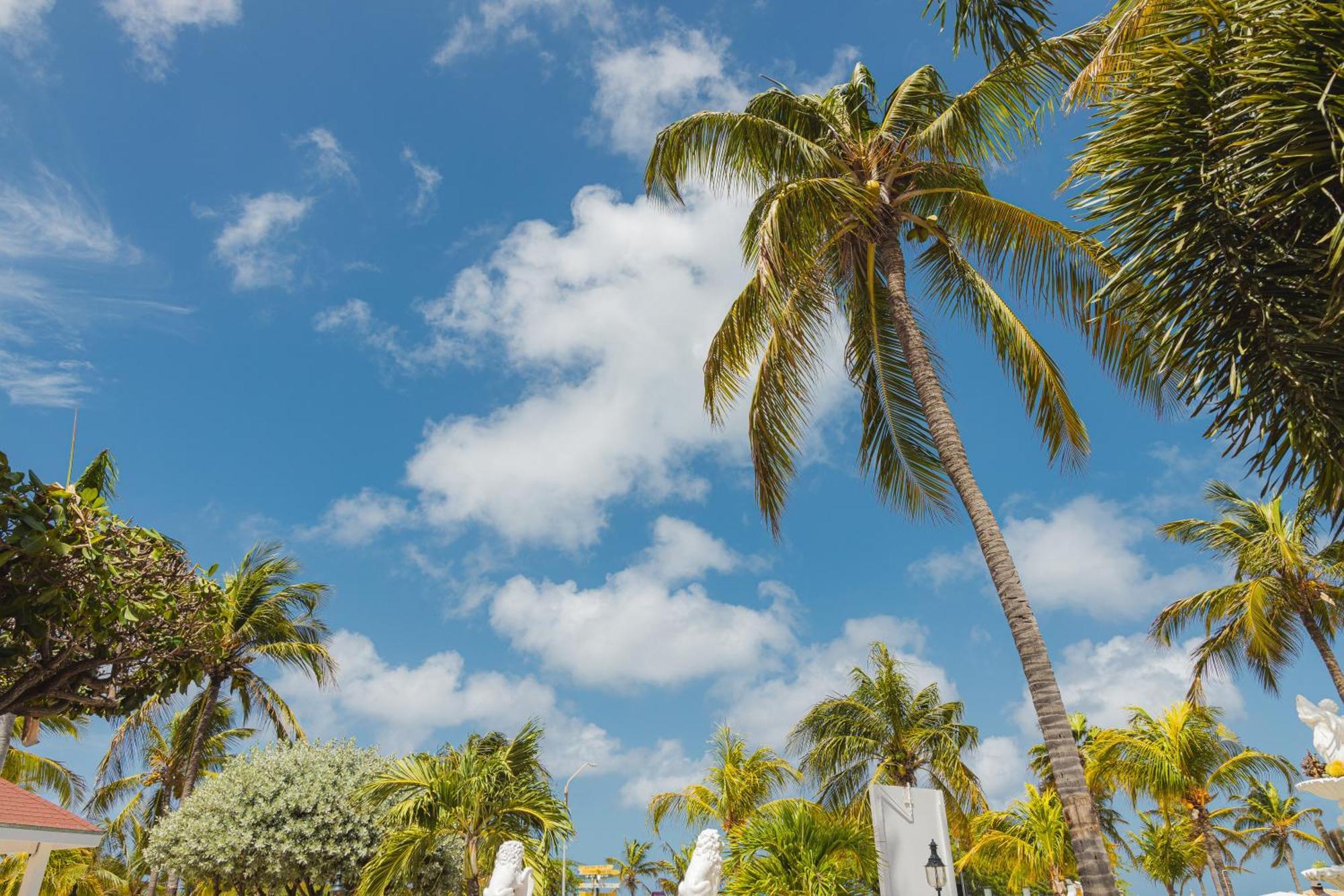 Amsterdam Manor Beach Resort Παλμ Μπιτς Εξωτερικό φωτογραφία