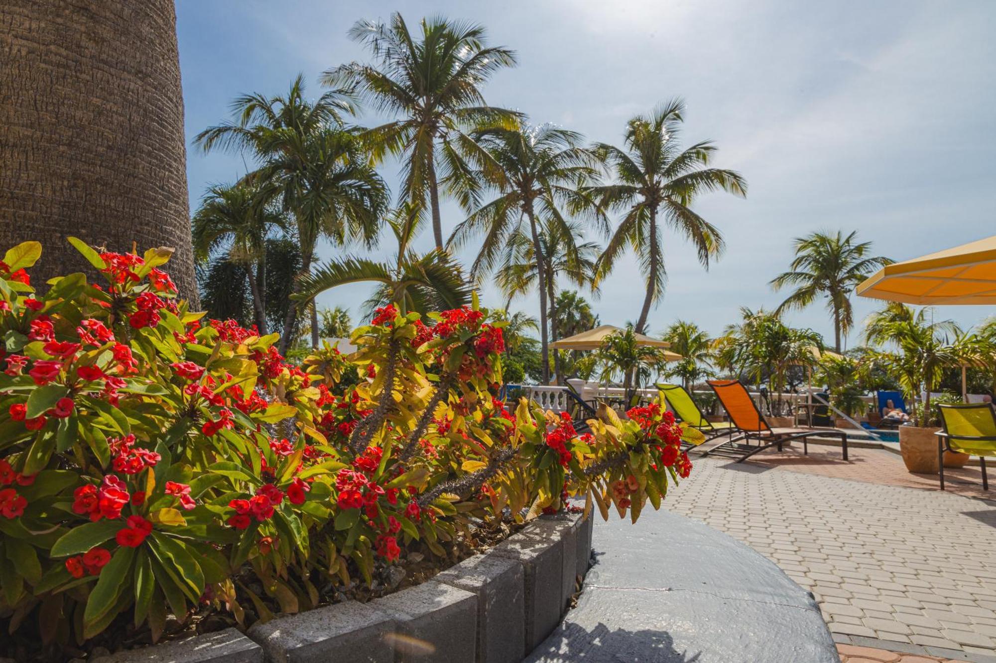 Amsterdam Manor Beach Resort Παλμ Μπιτς Εξωτερικό φωτογραφία