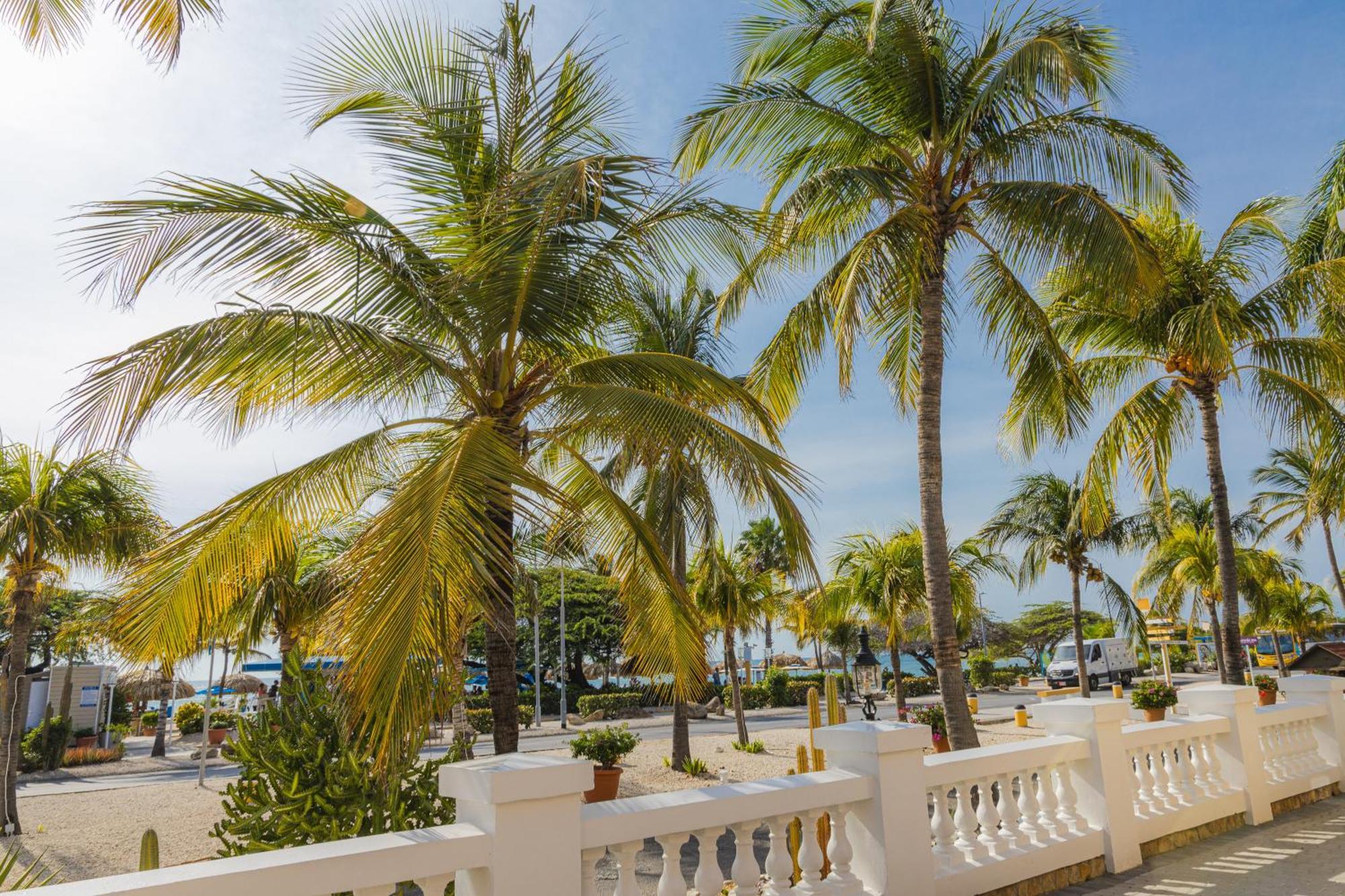 Amsterdam Manor Beach Resort Παλμ Μπιτς Εξωτερικό φωτογραφία
